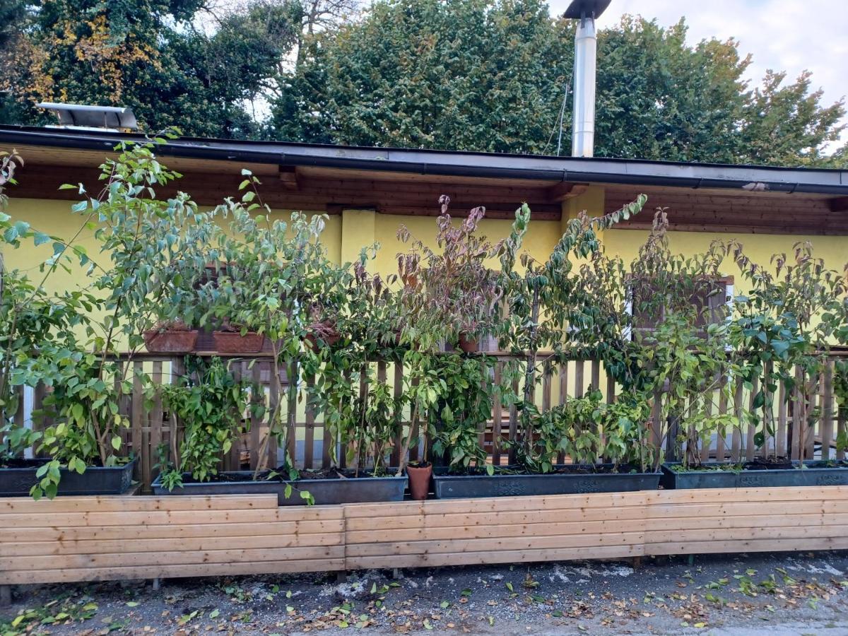 Binderhaeusl Villa Salzburg Eksteriør billede